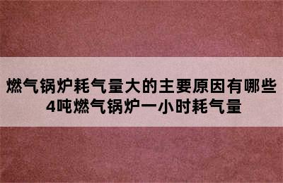 燃气锅炉耗气量大的主要原因有哪些 4吨燃气锅炉一小时耗气量